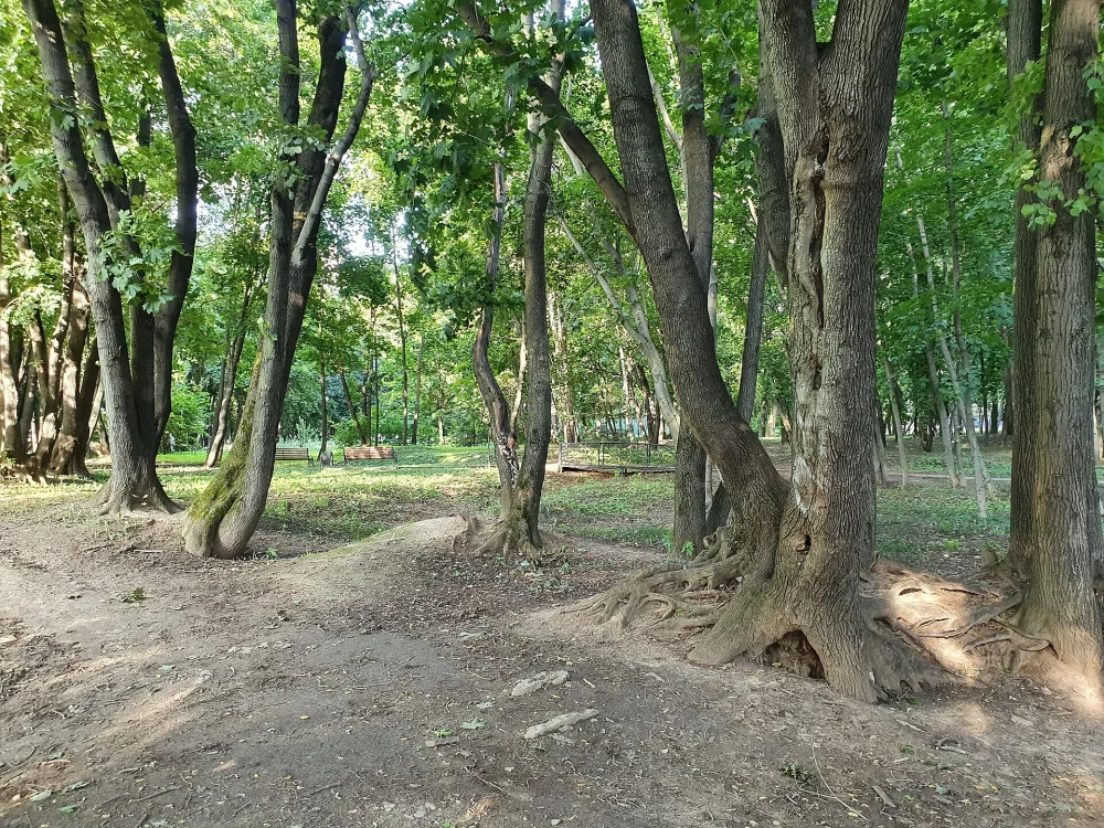 Усадьба Богородское (Воронино)