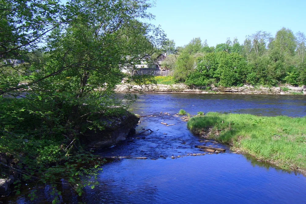 Кушелка