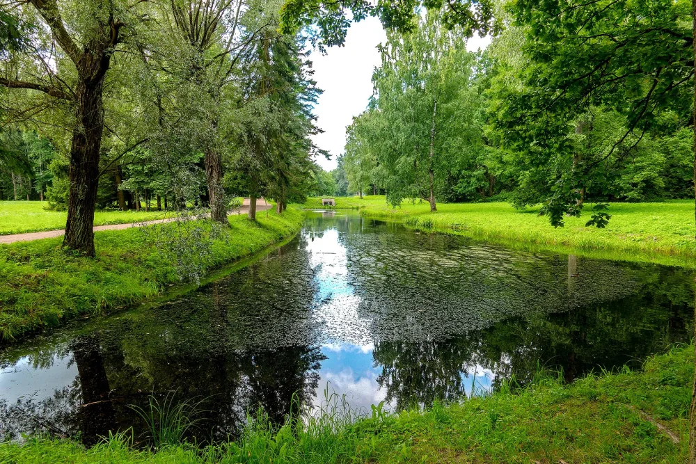 Ботанический пруд (Павловск)