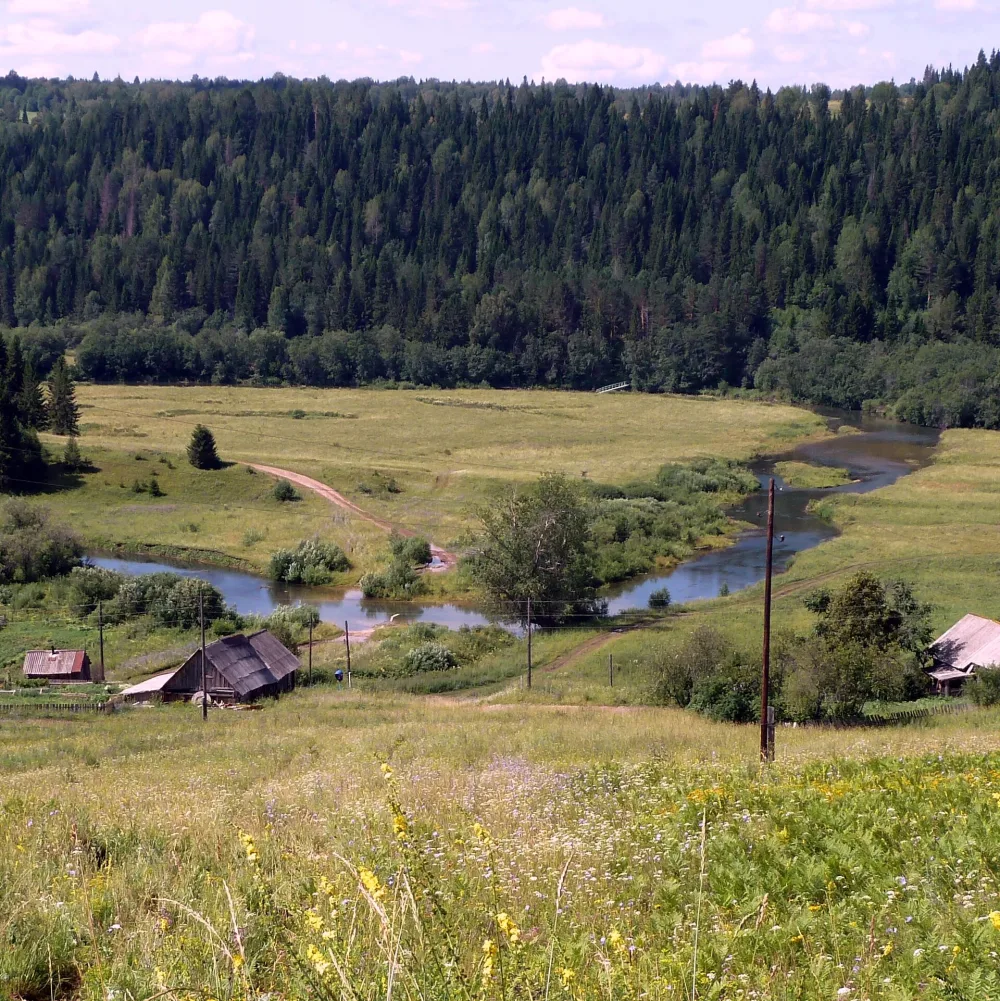 Сарс