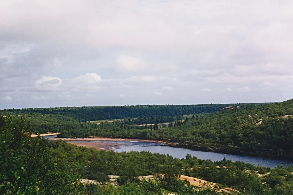 Пурнач