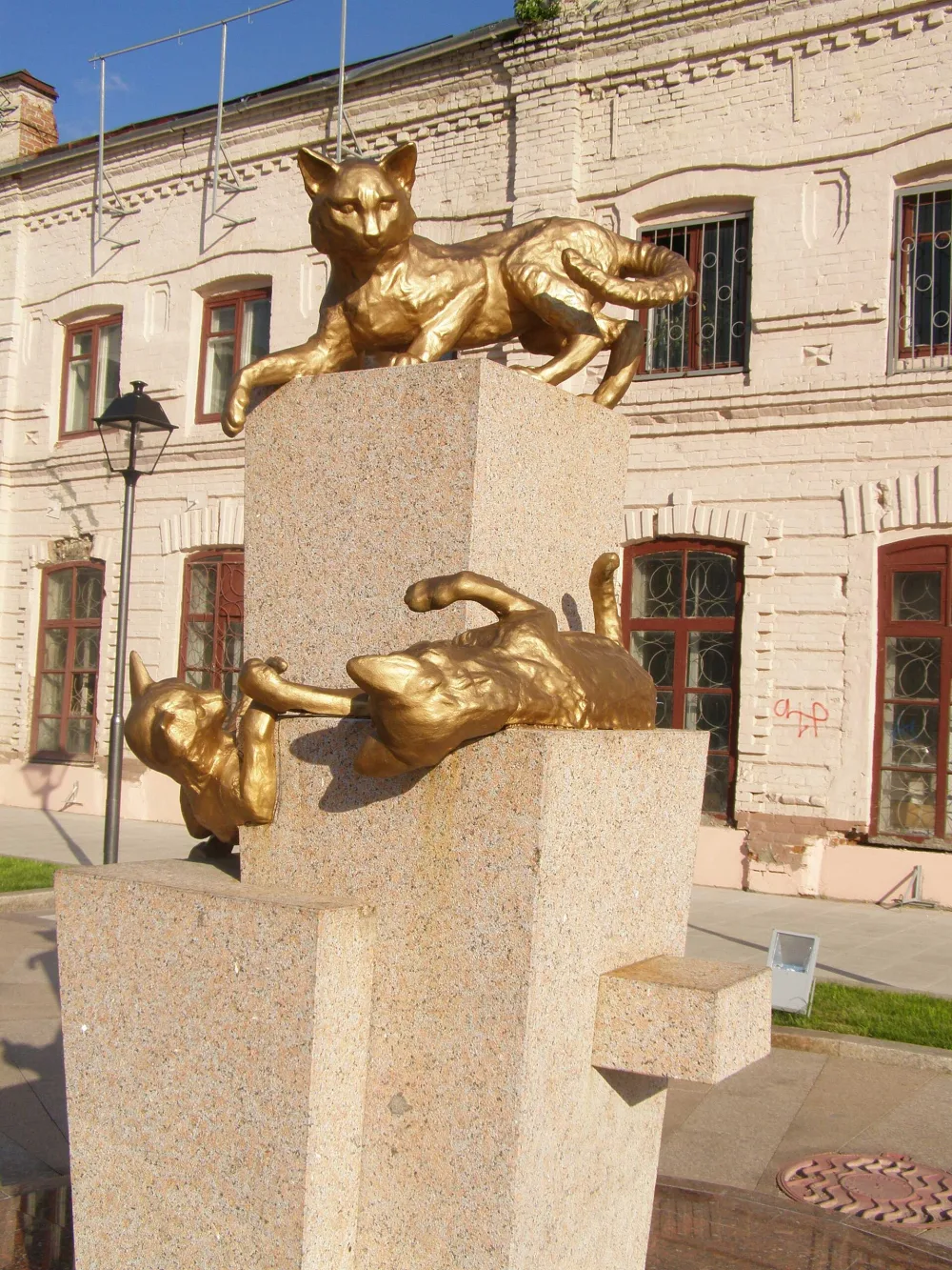 Сквер сибирских кошек