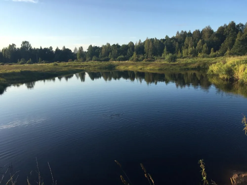 Колоденка