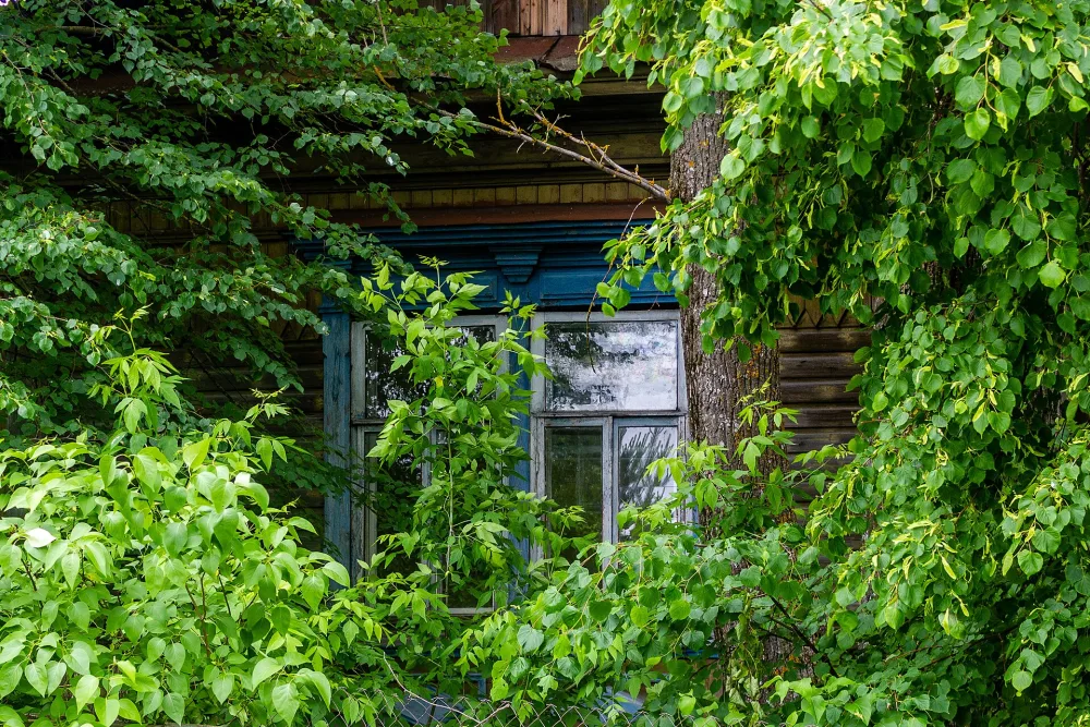 Корпус земской больницы (Курмыш)
