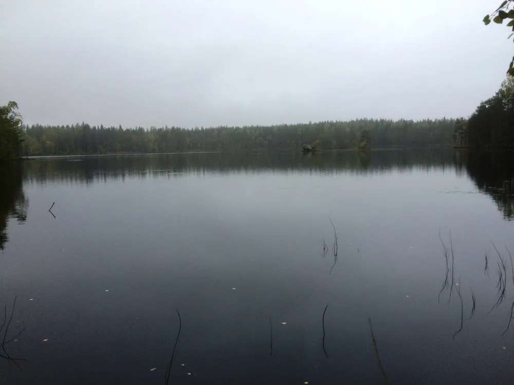 Раялампи