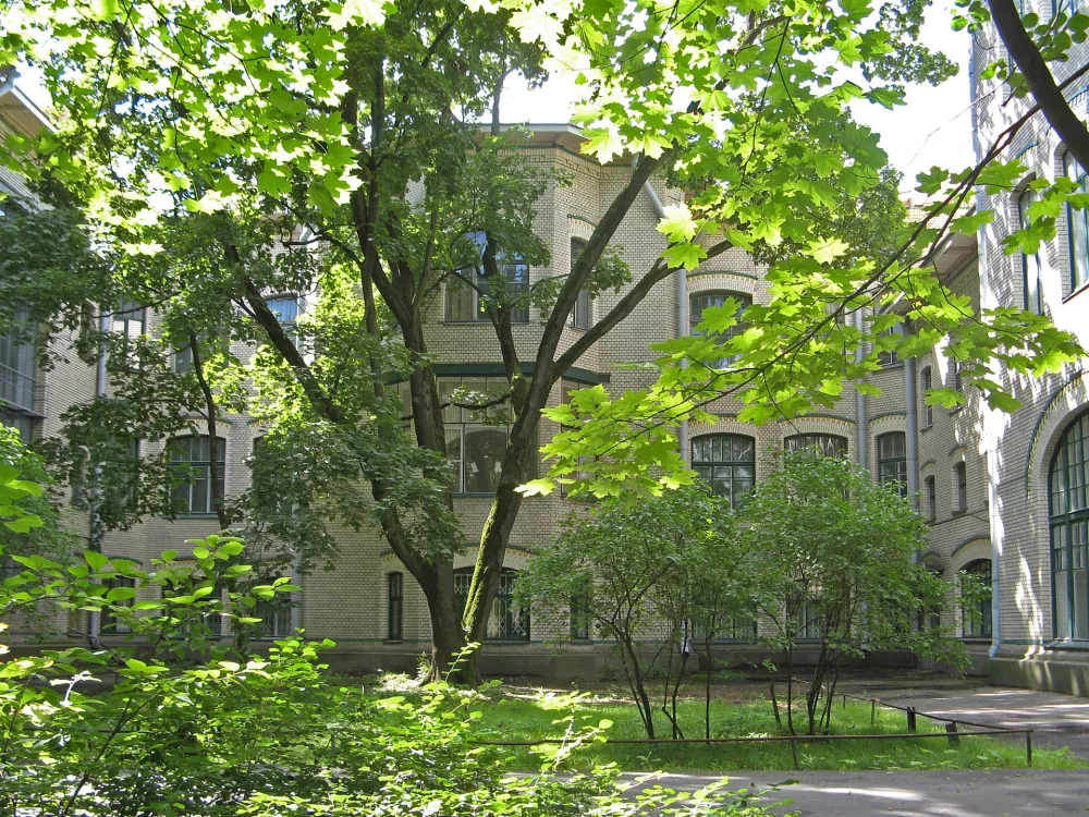 Сад