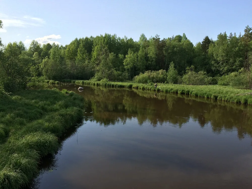 Миккильская