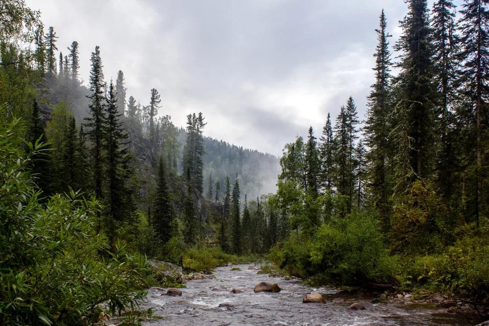 Амзас