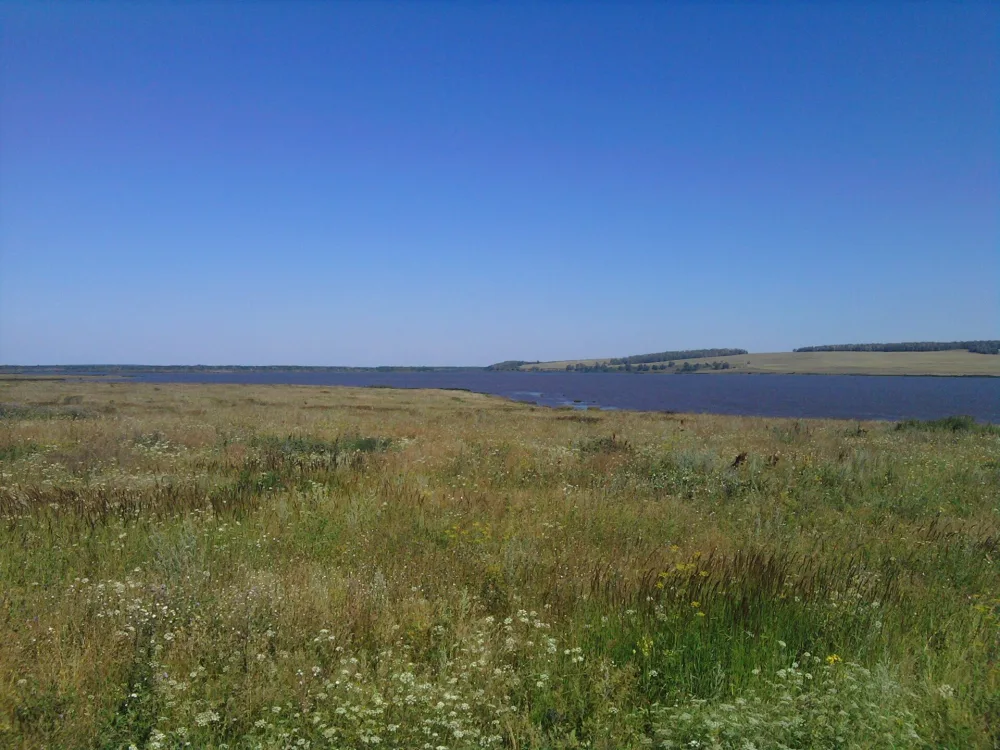 Мензеля