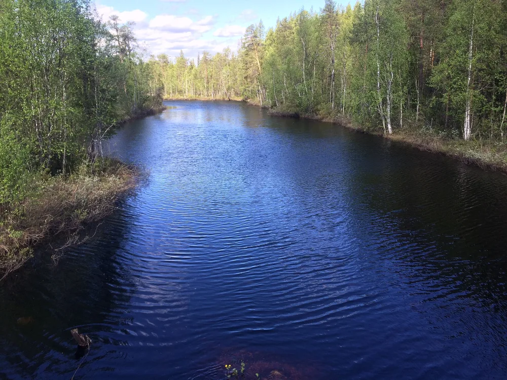 Пулома