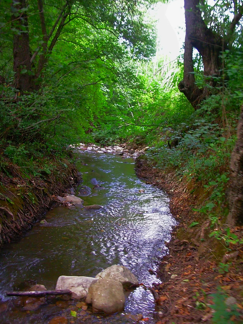 Каспана
