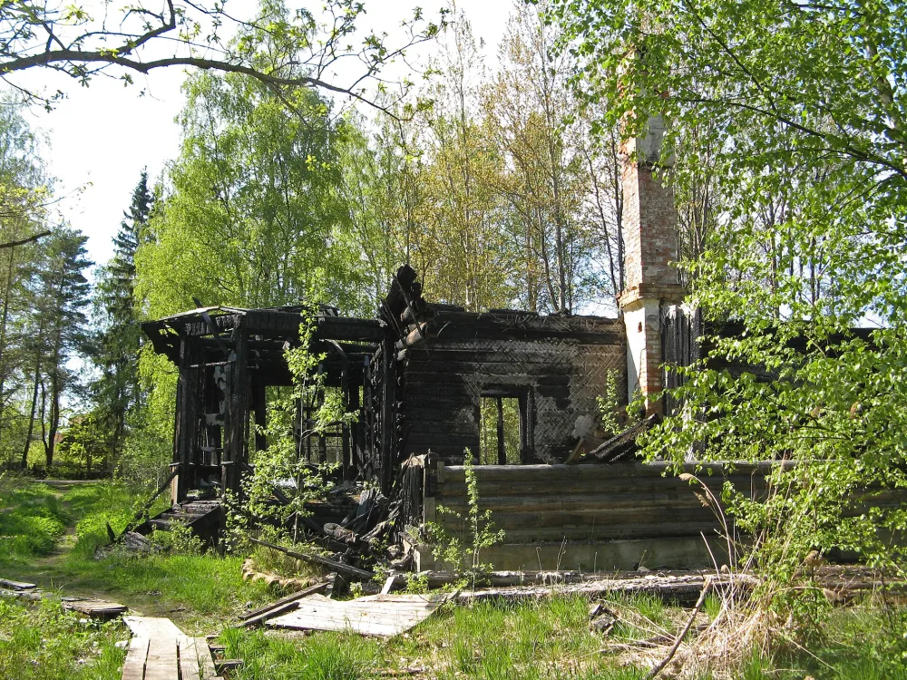 Зеленые насаждения