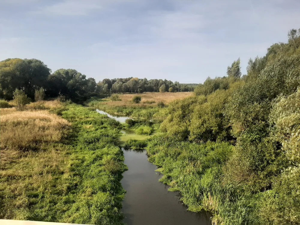 Каширка