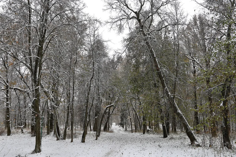 Парк (Смоленское)