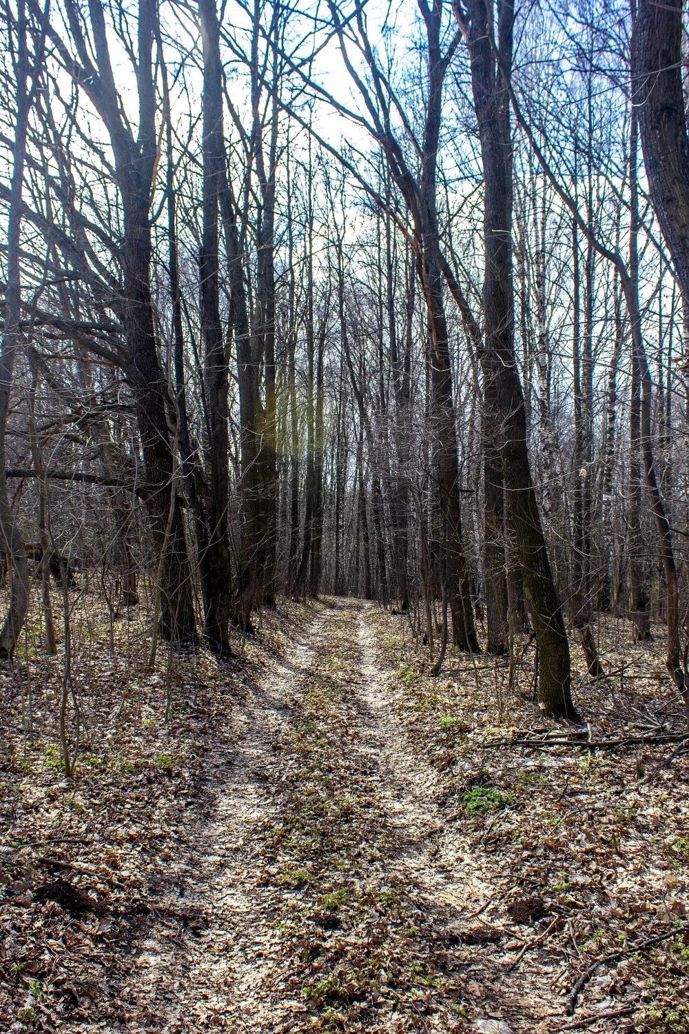 Парк (Лазарево)