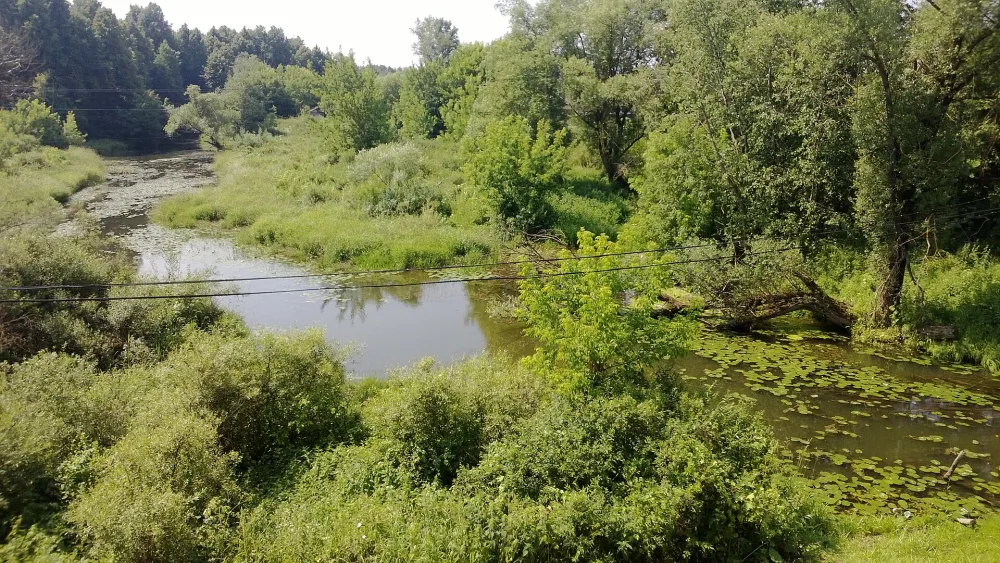 Лобь
