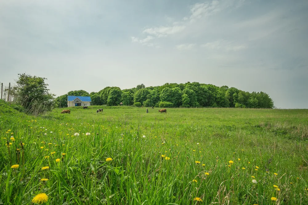 Парк (Лукино)