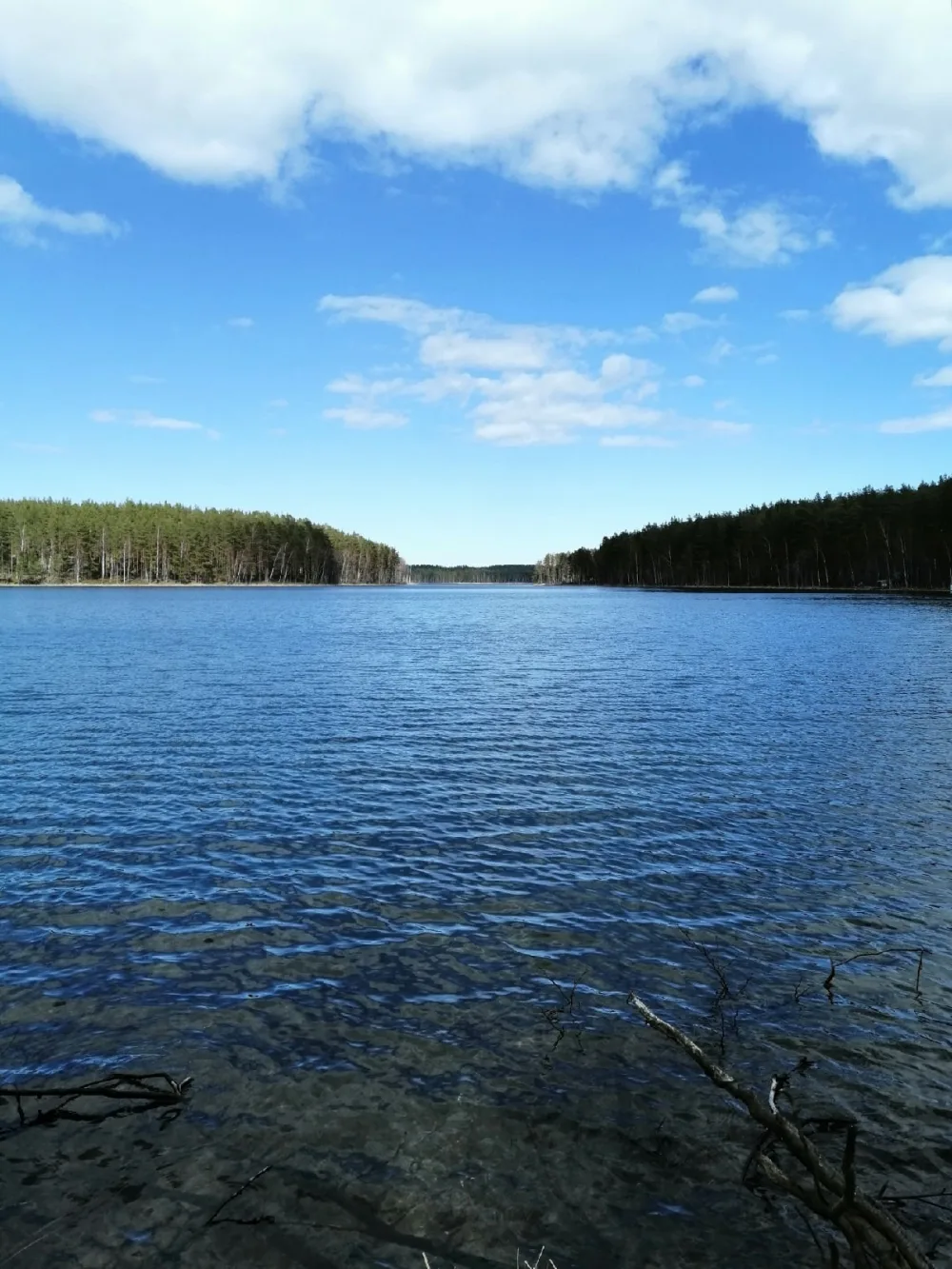 Воробьёво (озеро, Ленинградская область)