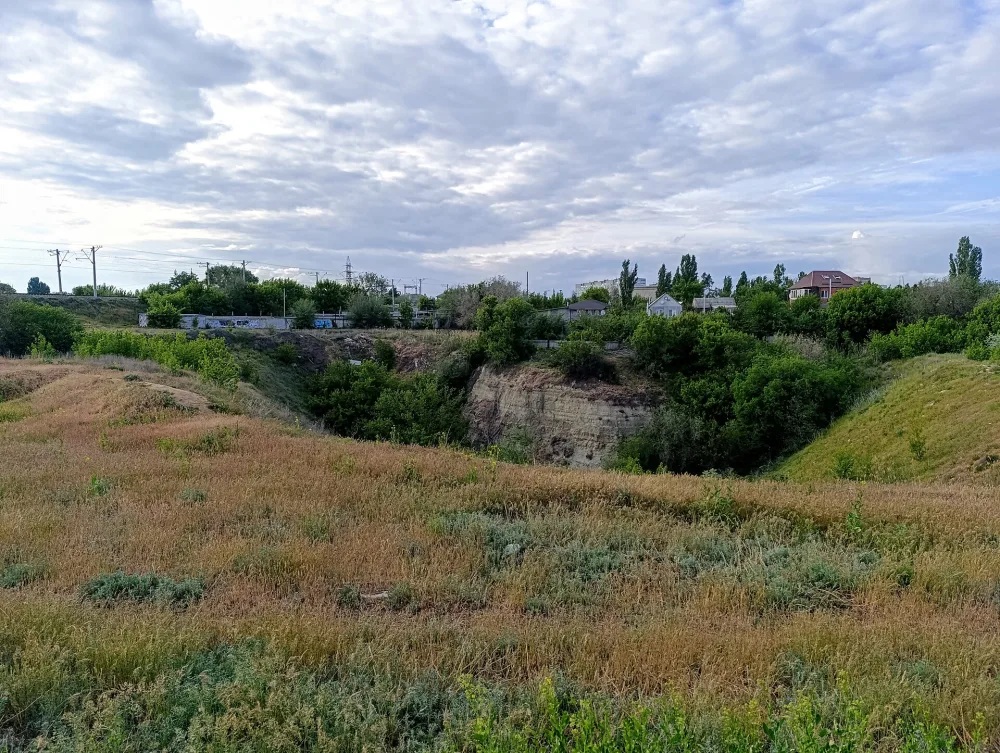 Ельшанка