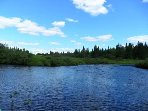 Ура