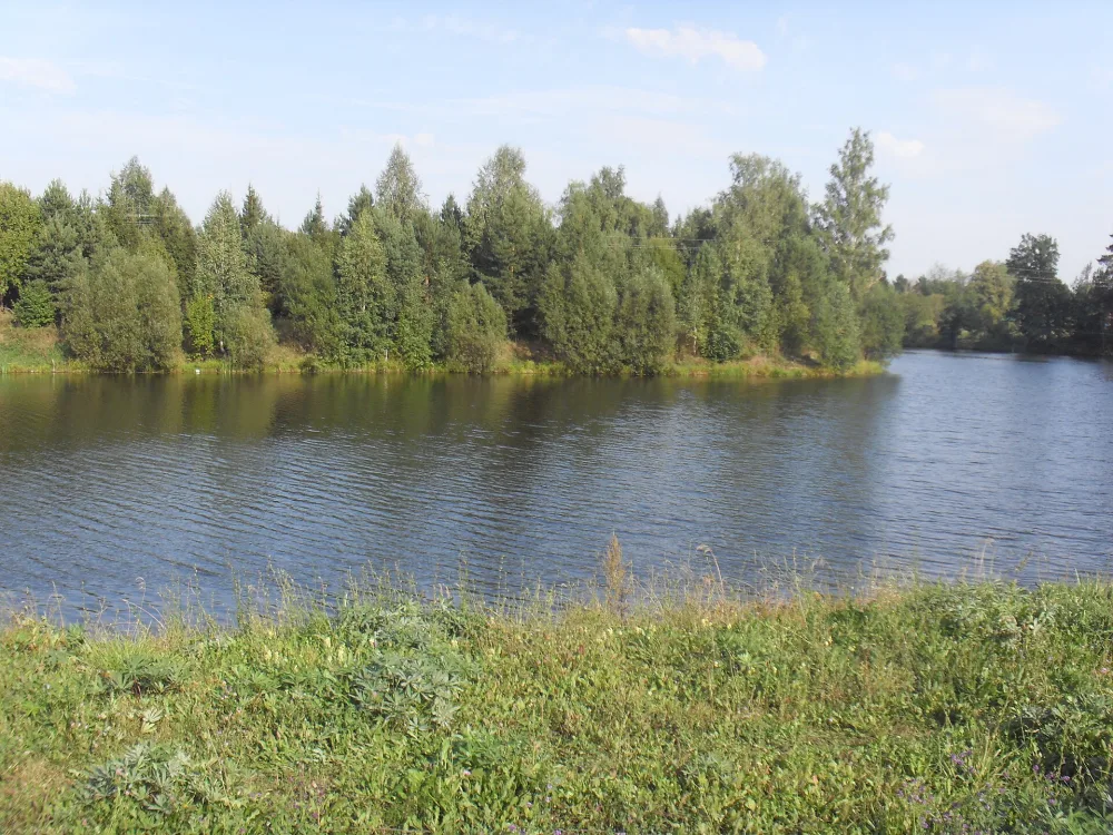 Упша