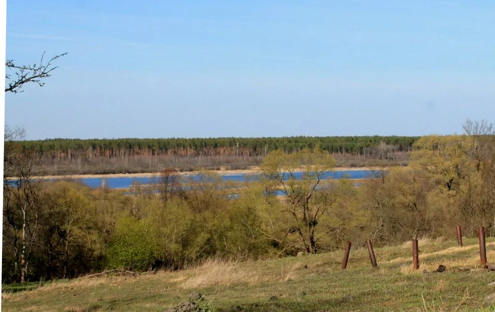 Бечино