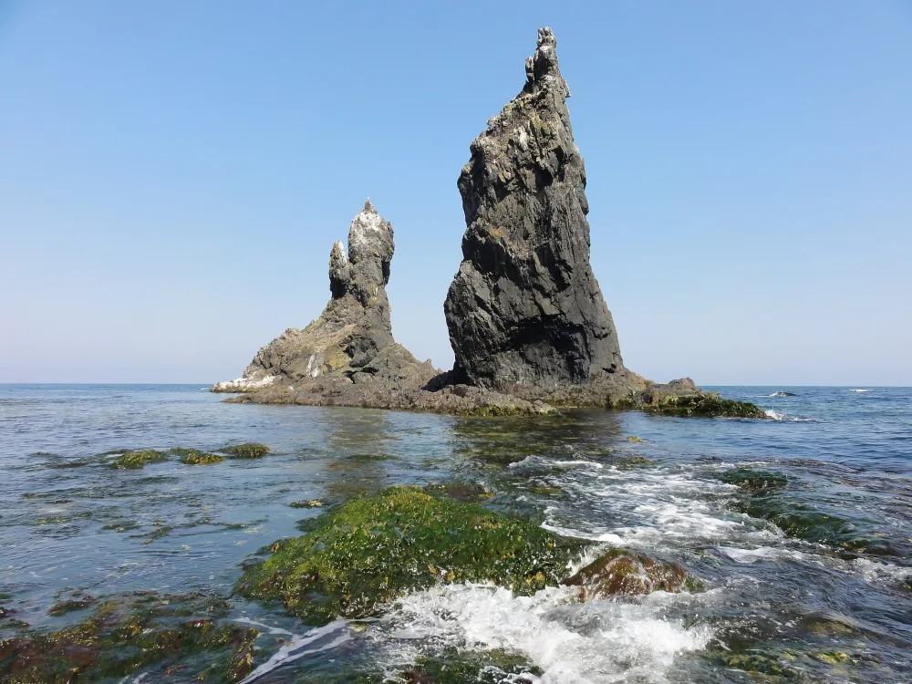 Два Брата (остров, Дальнегорск)