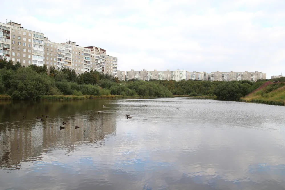 Чистое