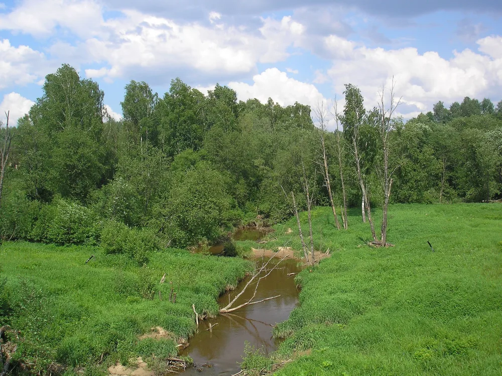 Даренка