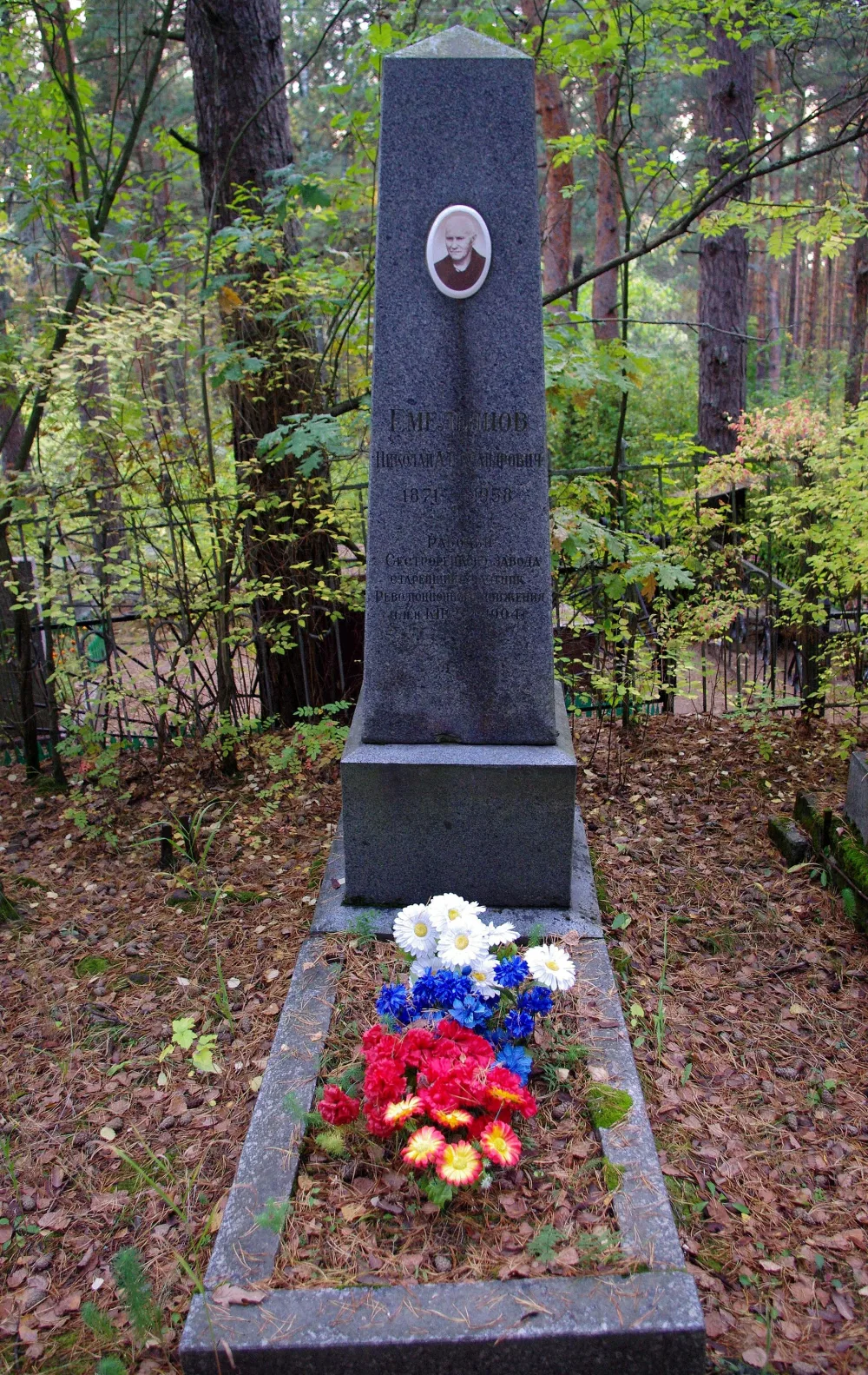 Могила Н.А. Емельянова (1871-1958), революционера (Сестрорецк)