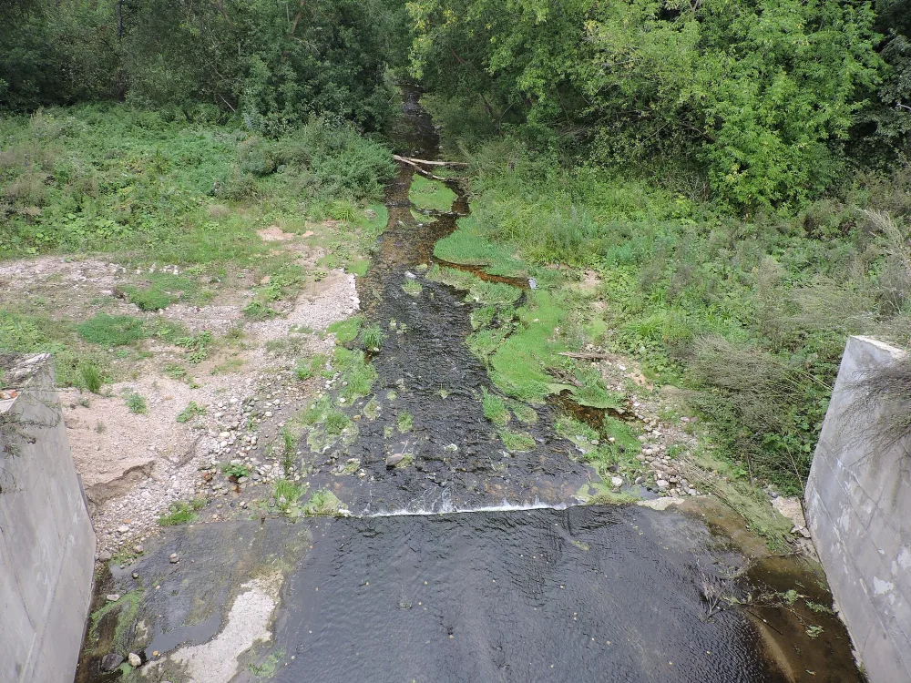Ворожа