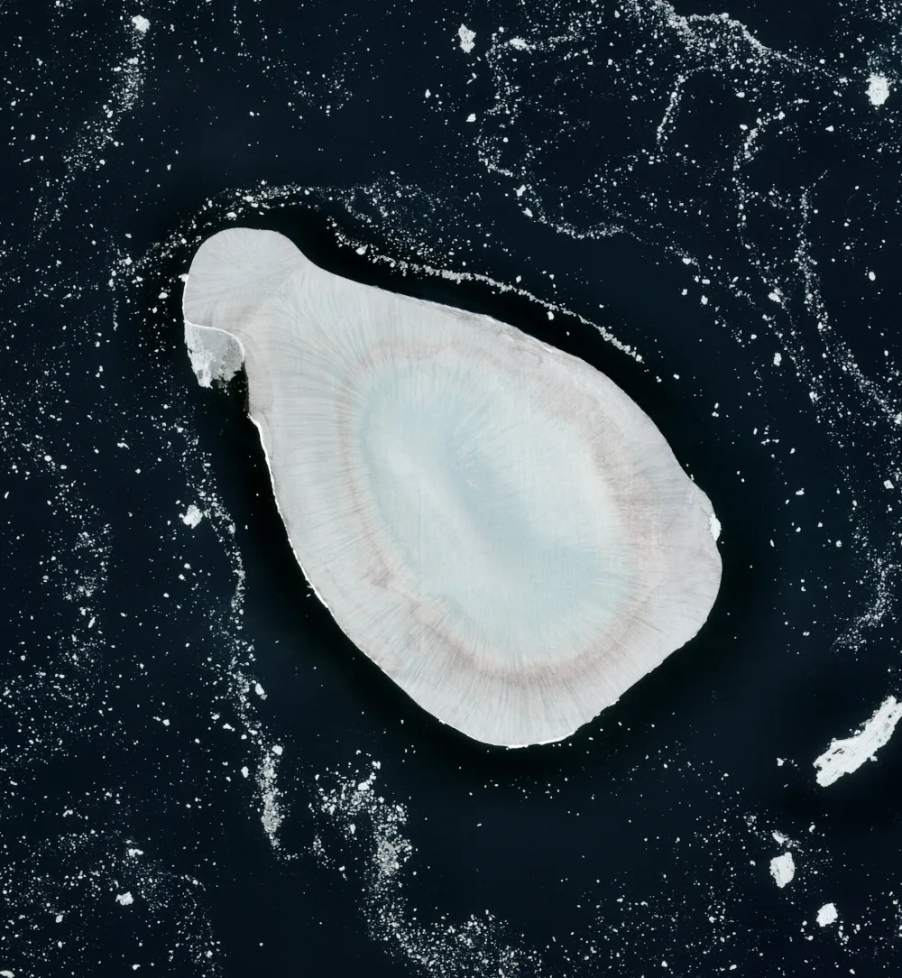 Фреден