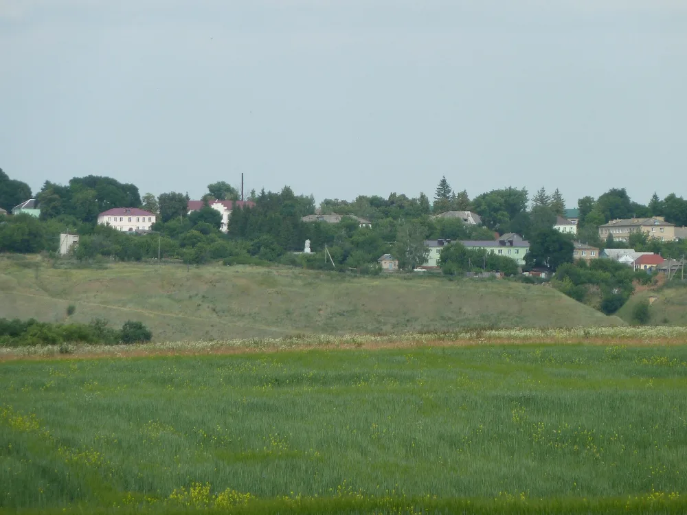 Новосильское городище
