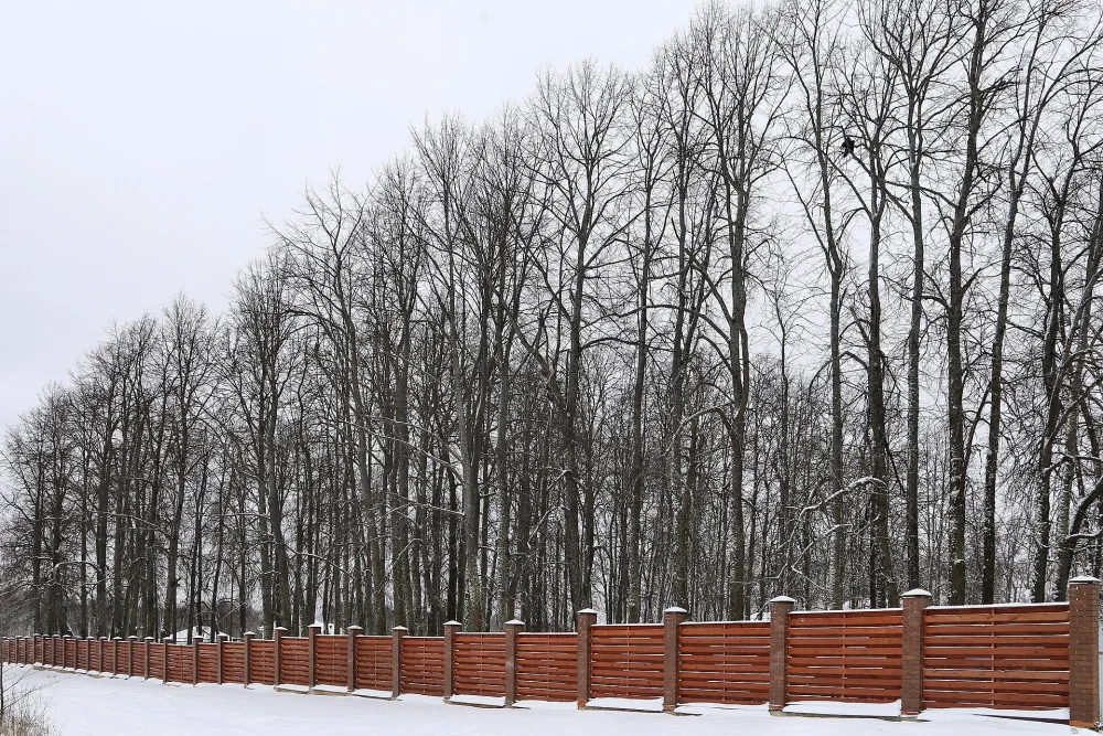 Парк (Домнино)