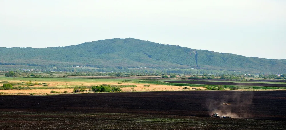 Зиргантау