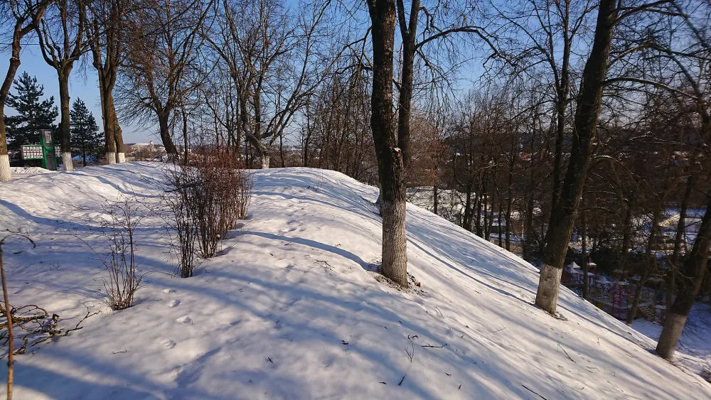 Селище (Боровск)
