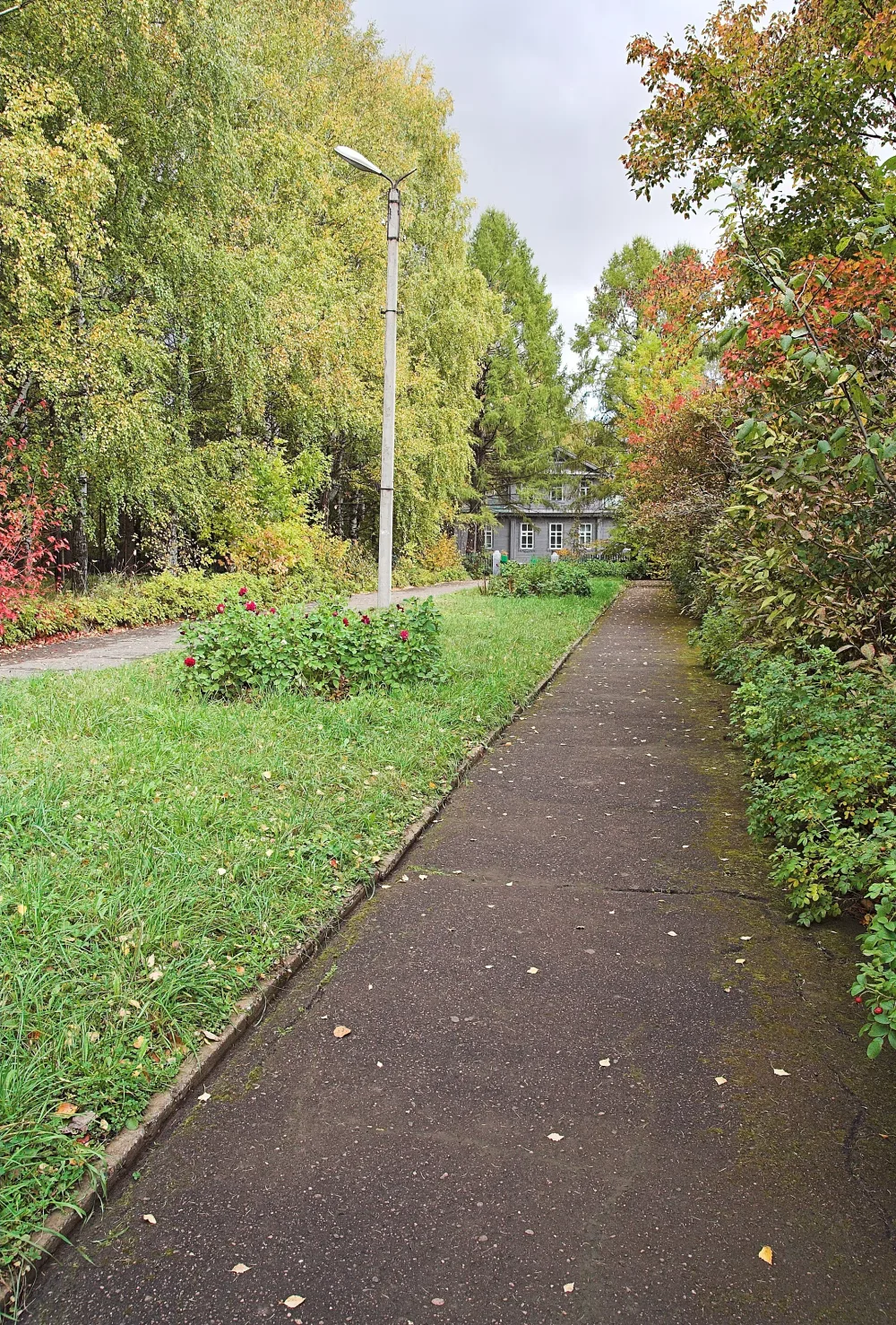 Парк (Горки)