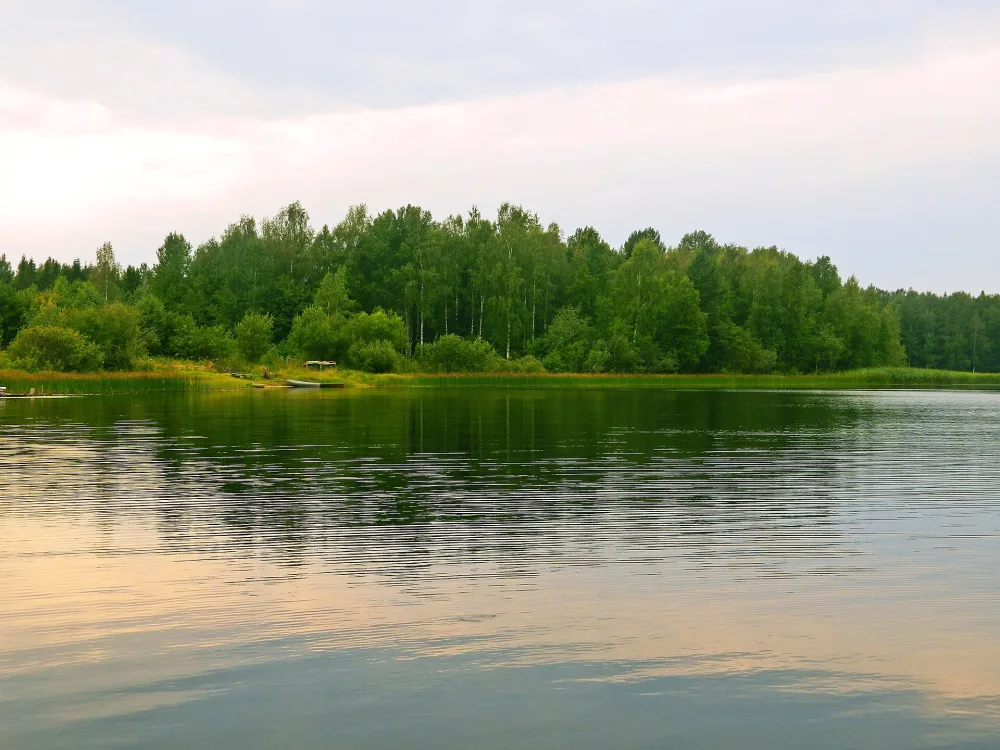 Ракитинское