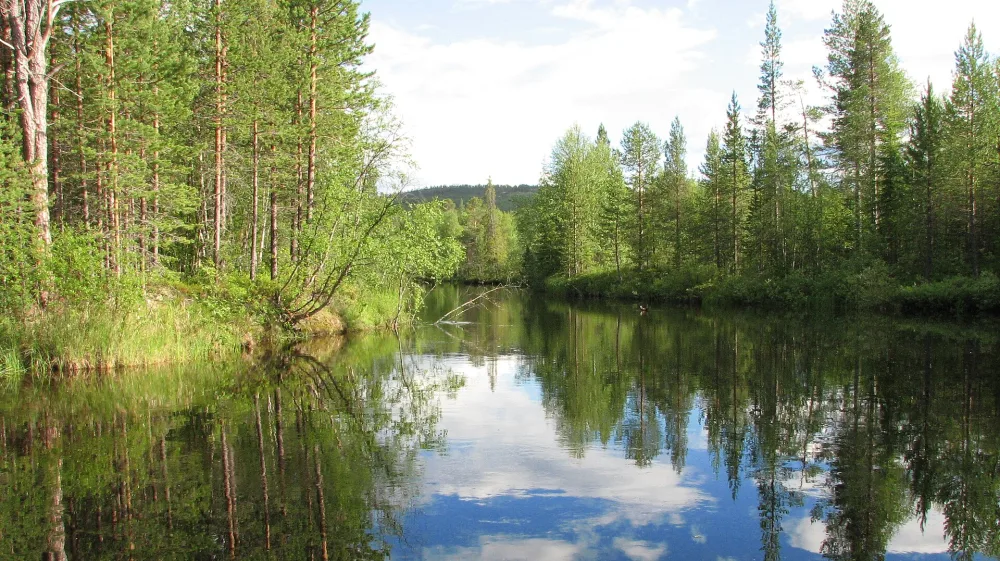 Вандас