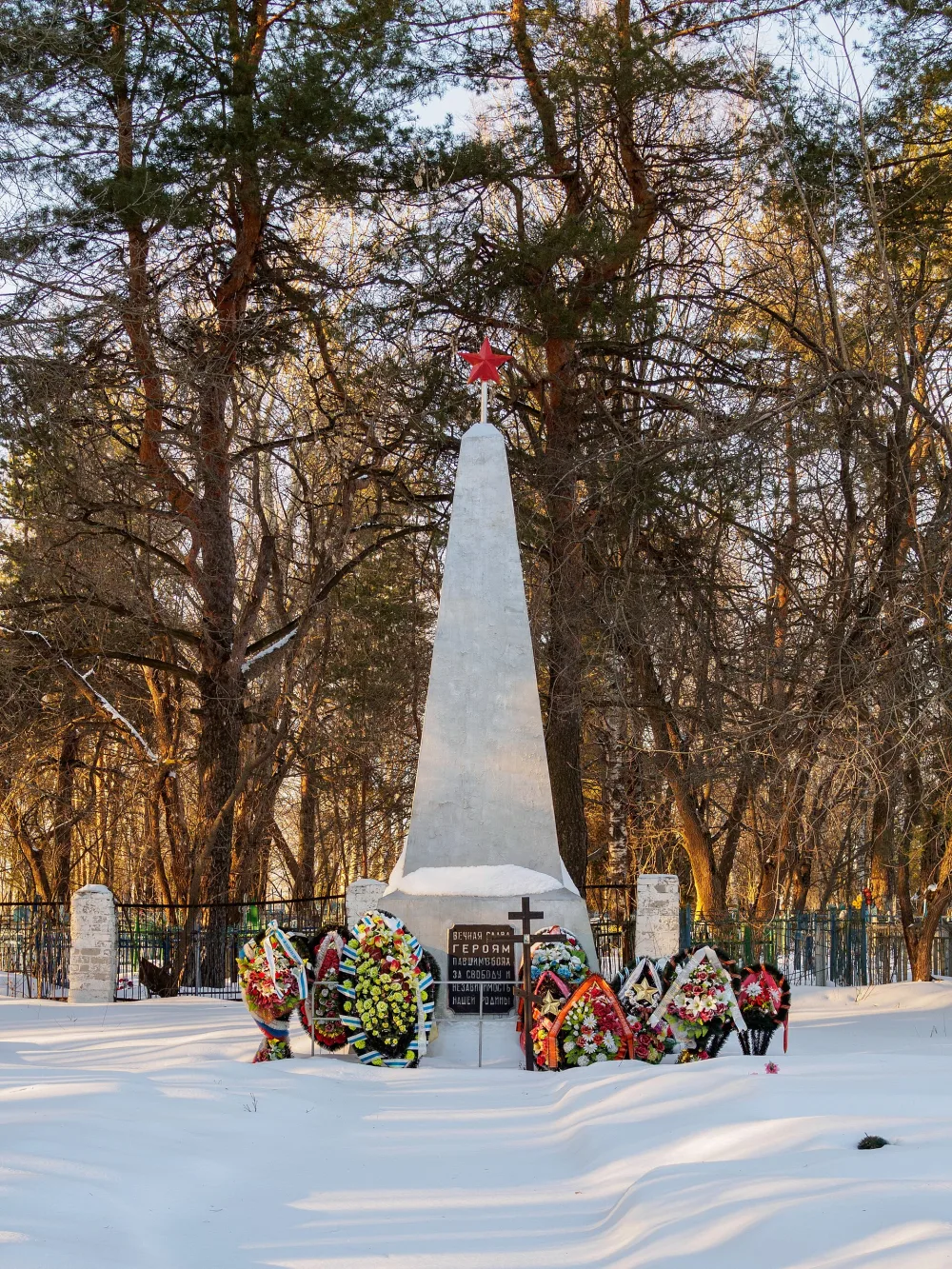 Братская могила воинов, умерших от ран (1941-1945) (Александровка)