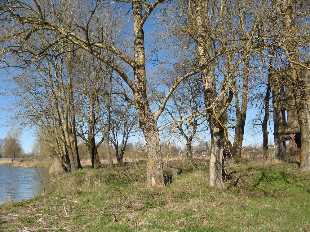 Сад (Красное Село)