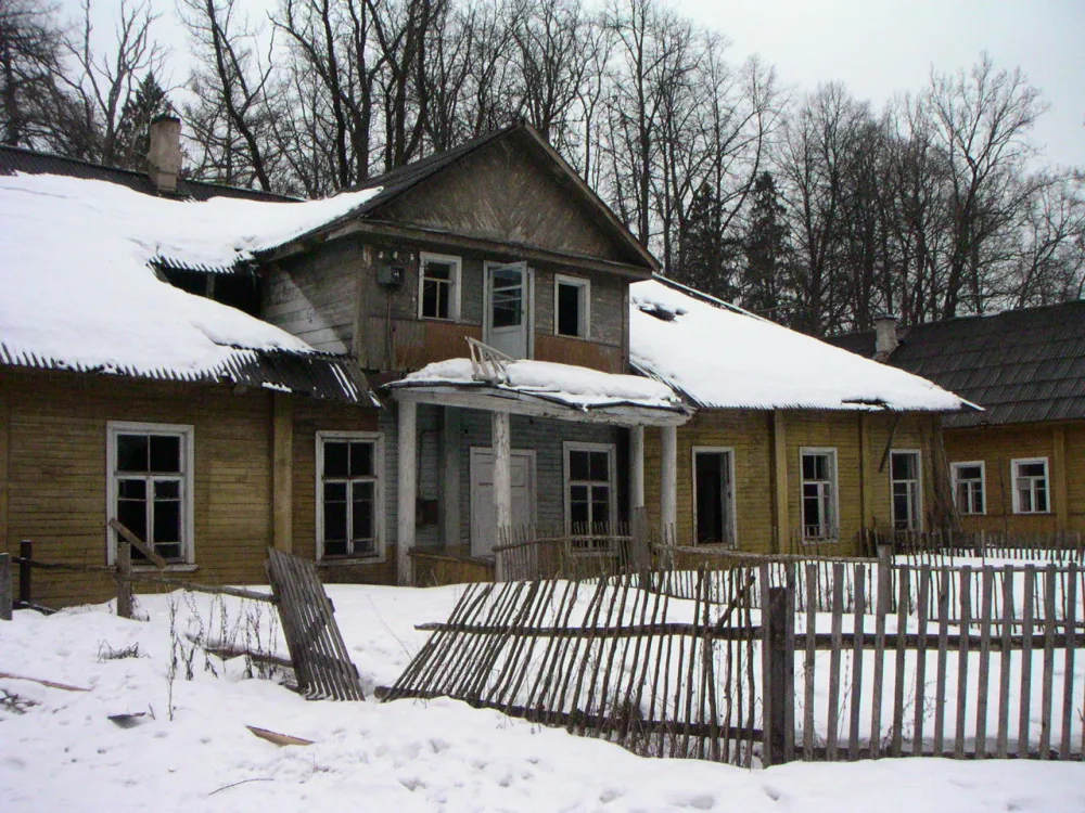 Главный дом (Дружноселье)