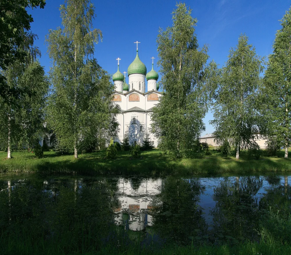 Сад (Вяжищи)