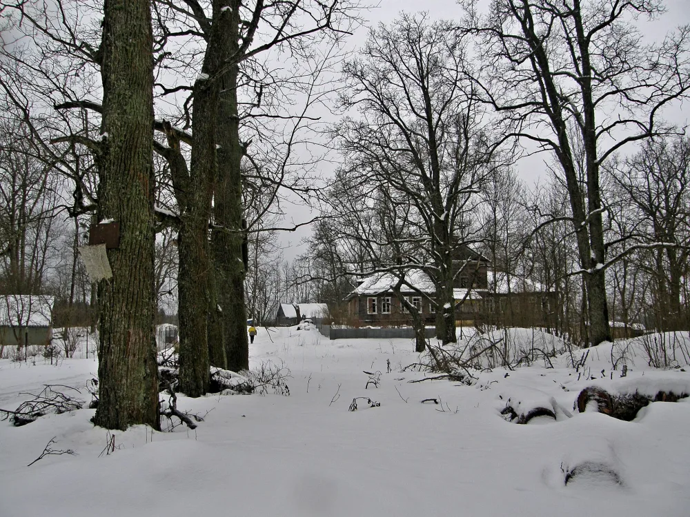 Парк (Кемполово)