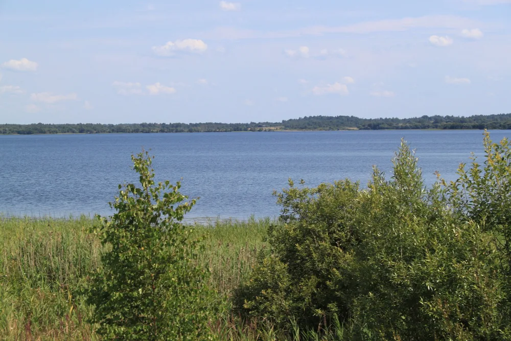 Завережье (озеро)