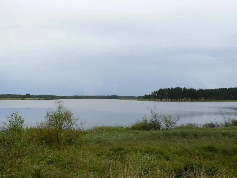 Волго