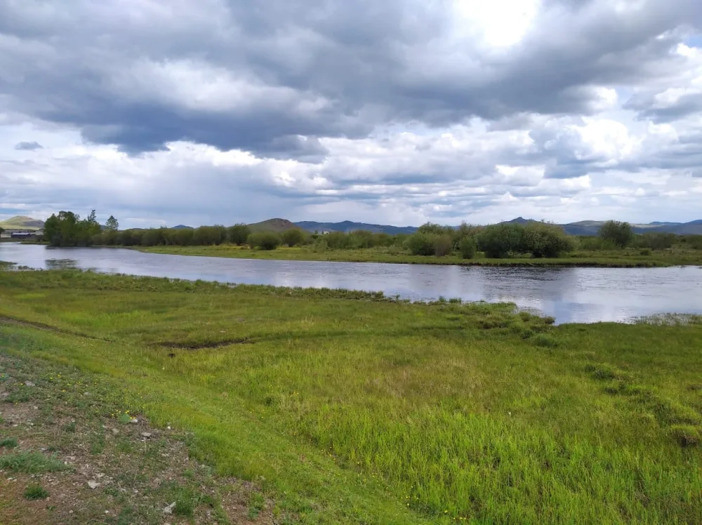 Оронгой