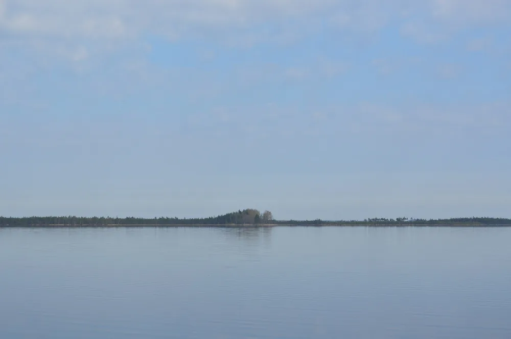 Питель
