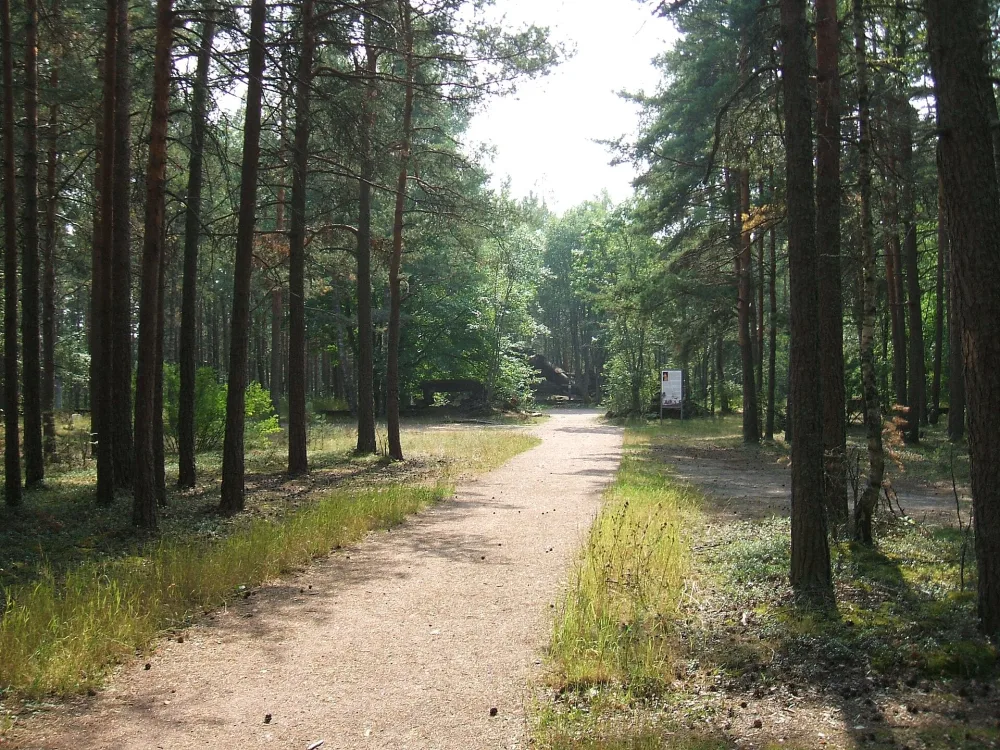 Парк «Марьина гора» (Усадьба «Мариоки») (Молодёжное)