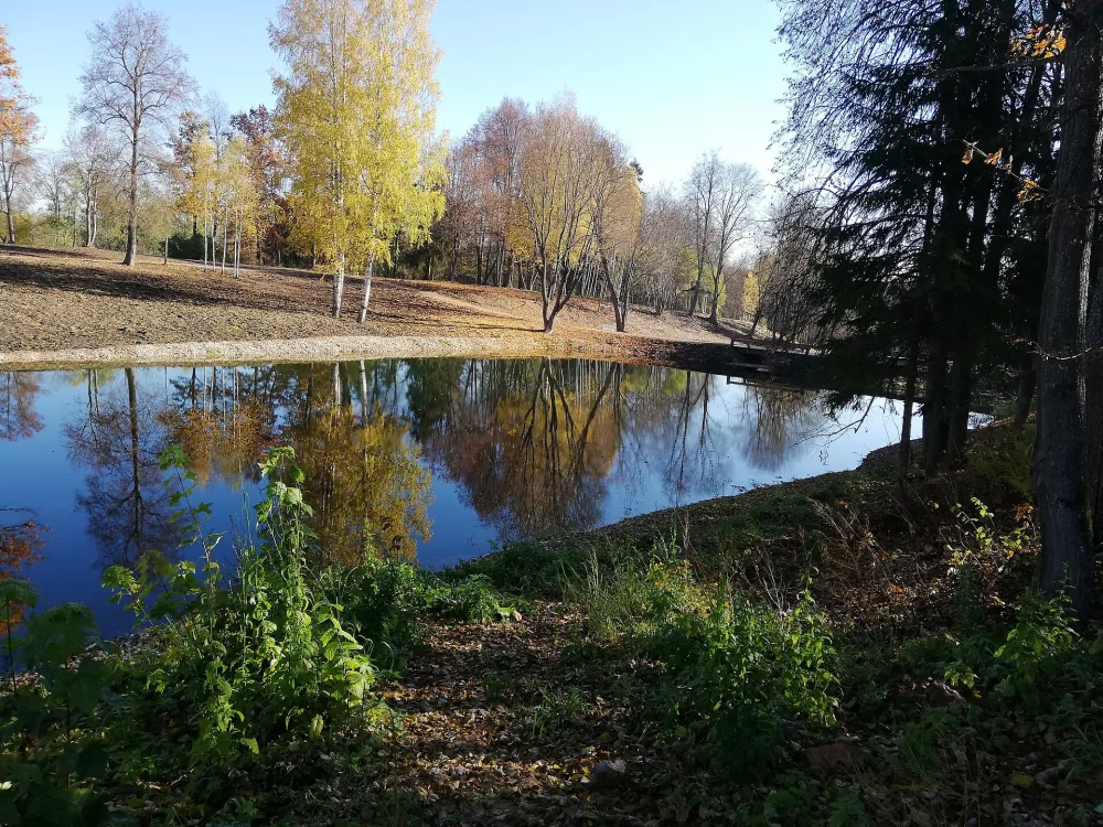 Пейзажный парк с системой каскадных прудов (Василёво)